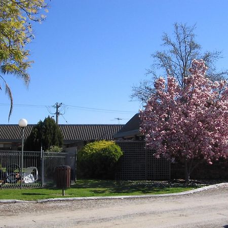 Belvoir Village Motel & Apartments Wodonga Exteriör bild
