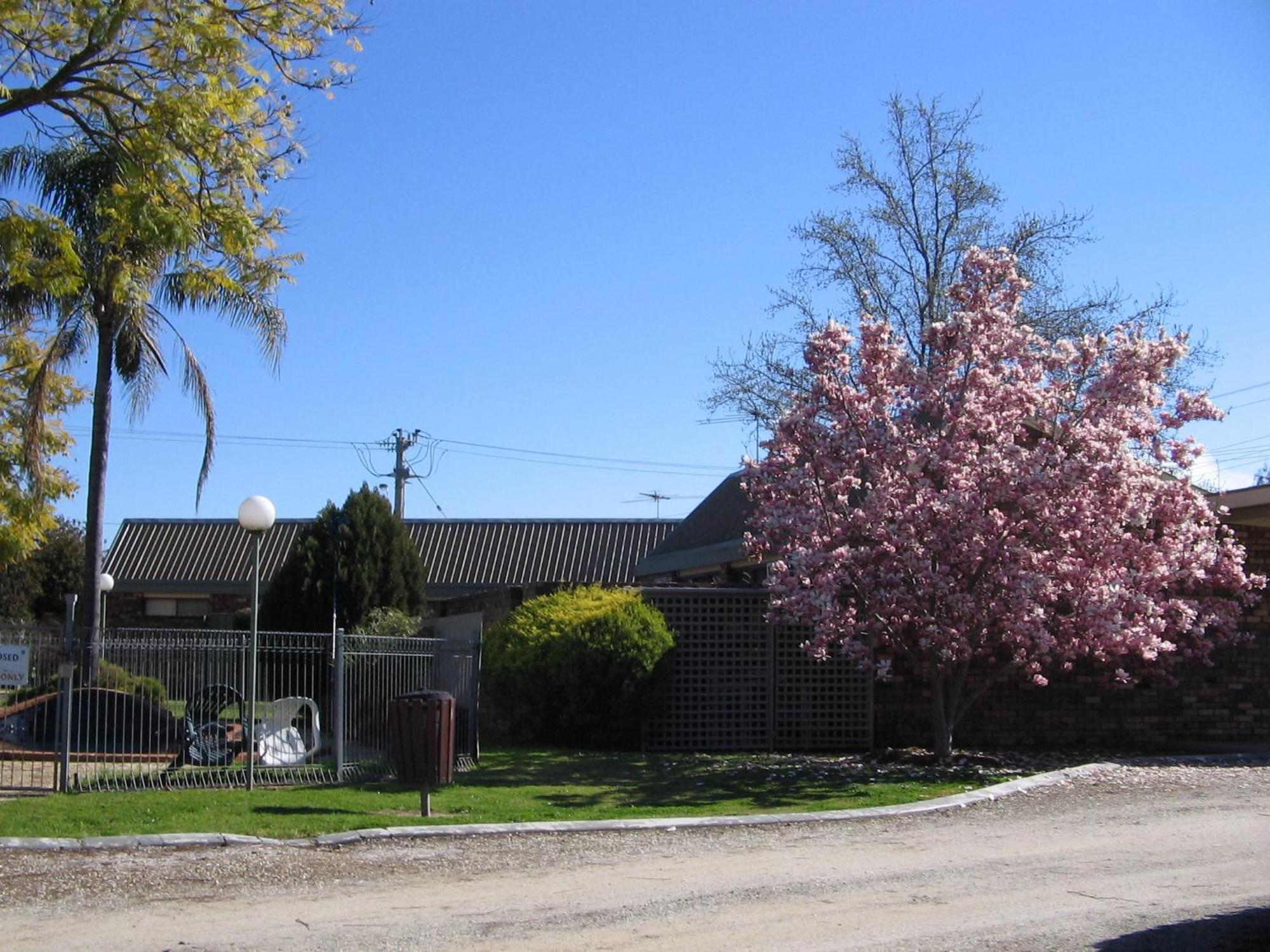 Belvoir Village Motel & Apartments Wodonga Exteriör bild